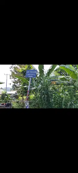 Dijual Murah Tanah Pertanian, Dekat Mata Air Terjun Lapopu
