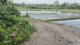 TANAH MURAH SAWAH 31 ARE, DI LELATENG JEMBRANA