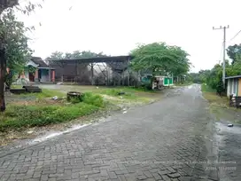 KELURAHAN PANJANG, KECAMATAN KEDUNGADEM, KABUPATEN BOJONEGORO
