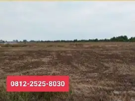 MURAH Tanah luas 9610m di muara Telang Banyuasin MD