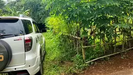 Dijual tanah kebun luas 600 M2 nempel jalan Desa di Rumpin