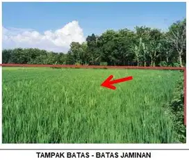 KELURAHAN SUKOSEWU, KECAMATAN SUKOSEWU, KABUPATEN BOJONEGORO