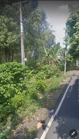 Jual tanah cilimus