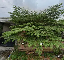 DIJUAL RUMAH HITUNG TANAH DELTASARI BARU DELTA RAYA BU