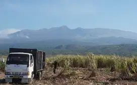 JUAL SEGERA TANAH MURAH PERKEBUNAN PANGGUNGREJO BLITAR