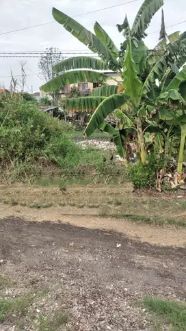 Tanah Murah Bumi Wonorejo Rungkut Surabaya