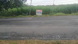 Dijual Tanah Cocok untuk Komersial Ngawi Jawa timur Strategis