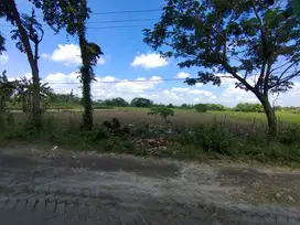 KELURAHAN JAMPET, KECAMATAN NGASEM, KABUPATEN BOJONEGORO