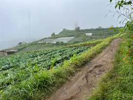 Tanah Wisata Kemuning 1000m View Istimewa
