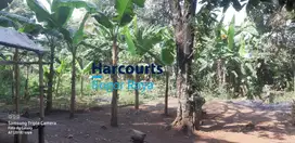 Dijual Tanah Lokasi Strategis di Bogor