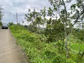 Tanah murah bagus invest
