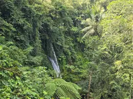 Dijual tanah dengan waterpool dan sungai view sawah terasering bali
