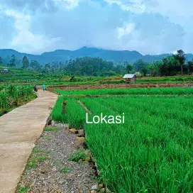 TANAH PRODUKTIF PINGGIR JALAN AREA CIWIDEY