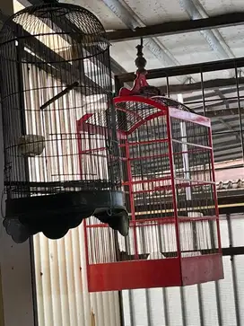 JUAL KANDANG SANGKAR BURUNG LOVE BIRD JALAK SUREN DAN LAIN LAIN