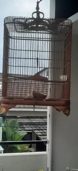 Sangkar Burung Bekas