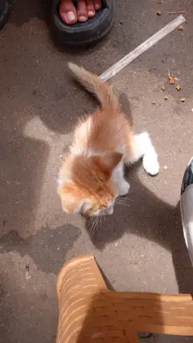 Jaga anak usia 6 tahun