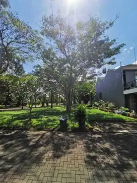Kavling / Tanah De Park Cajuputi BSD Deket AEON