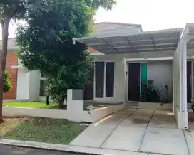 Rumah Bagus Ivy Park Citraland BSB Semarang