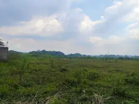 Jual/sewa lahan kosong 1,1 hektar