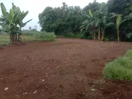 Di jual Tanah murah tanah kebun dan strategis di Parung Bogor