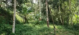 LT 3567 m²,harga NJOP 700 jt Warung Menteng ,Cijeruk Bogor