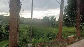 Murah Tanah Luas 11000m2 1,1Ha SHM Pinggir Jalan di Jonggol Bogor