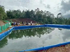 Jual Tanah Murah dan Luas Pinggir jalan desa area Ciwidey