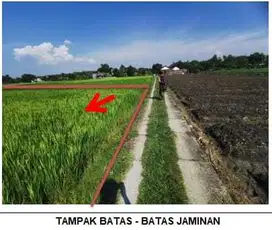 KELURAHAN SUKOSEWU, KECAMATAN SUKOSEWU, KABUPATEN BOJONEGORO