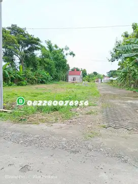 TANAH TIMUR PEREMPATAN JABUNG