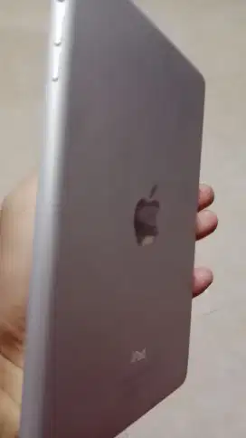 Ipad Mini 2 ( icloud Lock )