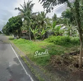Tanah Ideal Luas 298 Meter Tepi Jl. Daendels 7 Menit Bandara YIA