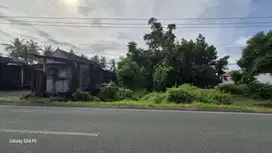 Tanah 13 are pinggir jalan raya negara pengambengan , Jembrana