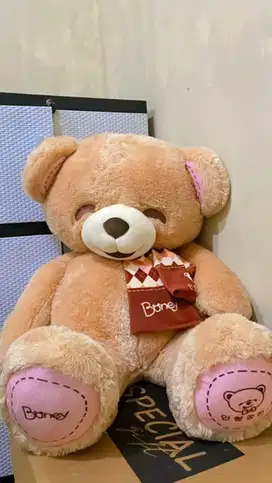 BONEKA (istana boneka)