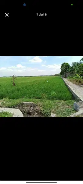IJUAL CEPAT TANAH SAWAH MURAH DI JOGOSATRU SUKODONO BU