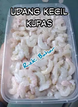 Udang kupas murah