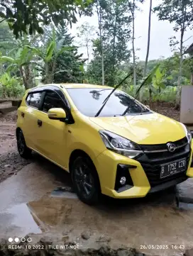 Ayla x 1.2 mt km low