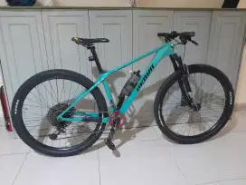 Sepeda fullbike dominate xc elite karbon 12 speed