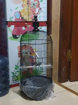 Sangkar LB Baru