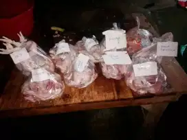 Ayam potong br 100k/3 ekor