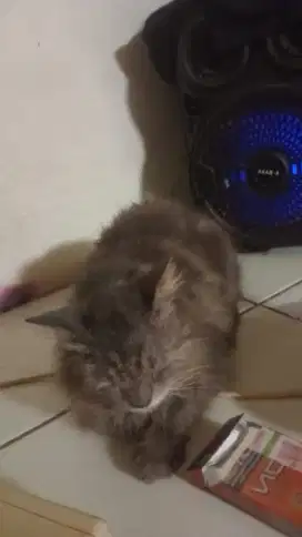 Mencari pekerjaan dgn basic komputer/hobby komputer