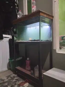 Jual cepat semuanyaa aquarium sama rak besi,ukuran 60 cm