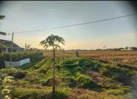 Jual Tanah Murah Tegalgede Karanganyar