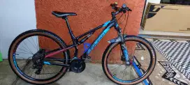 POLYGON RAYZ 3 UPGRADE