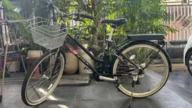 Sepeda Murah Polygon Lovina 26