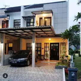 Canopy alderon 100