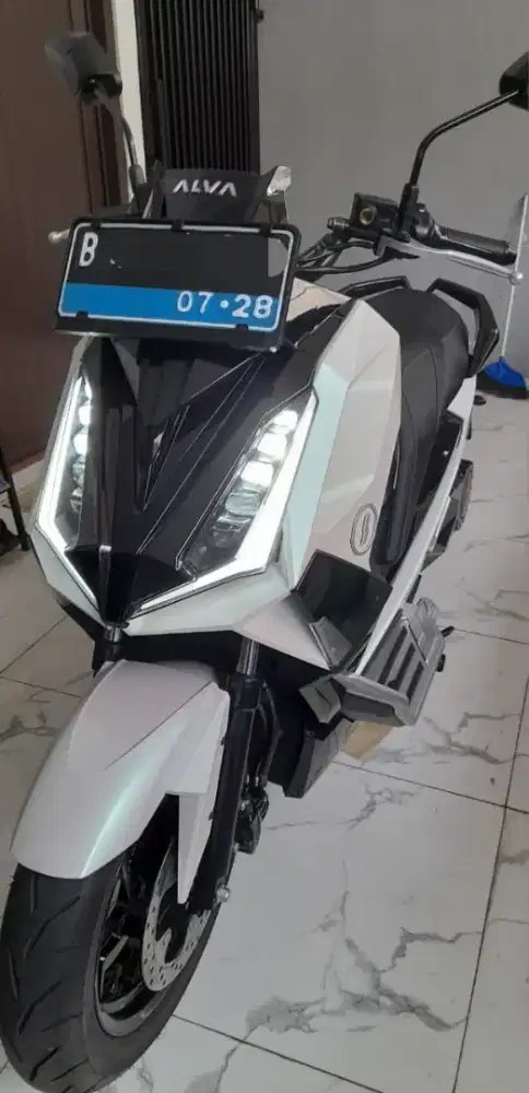 Alva Cervo 2024 hallo white