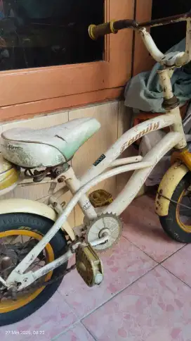 Jual sepeda anak family