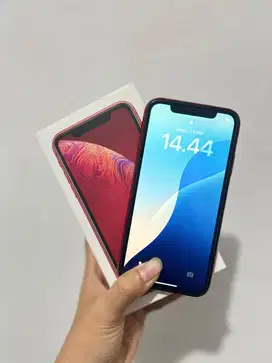 iPhone XR 128GB Merah - Ibox, Baterai 100%, Bonus Charger