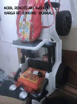 MOBILAN REMOTE ANAK 4WD (4X4) BISA 2 ANAK