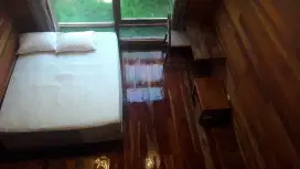 Sewa Rumah Dagoumaia Cabin Wood Kos